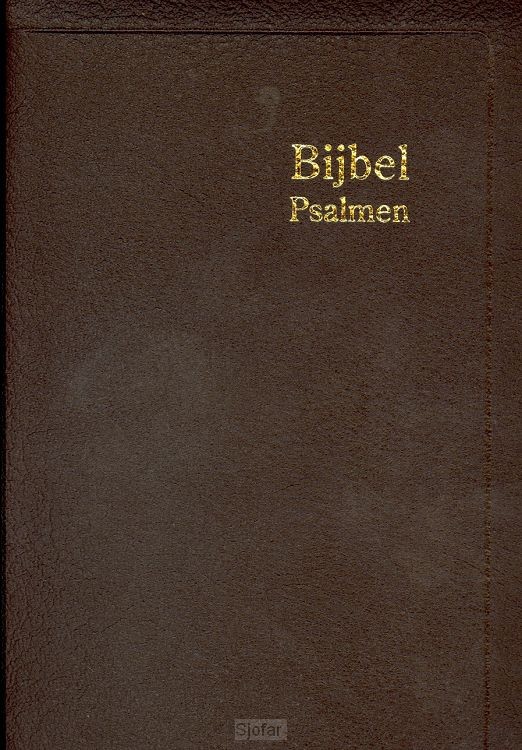Herenzakbijbel H35 RITMISCH leer goudsn