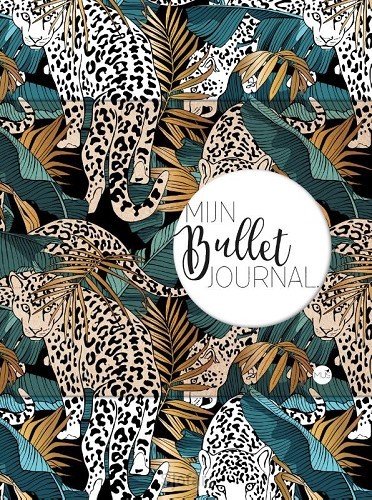Mijn bullet journal jaguar jewel