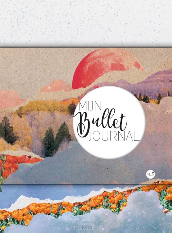 Mijn bullet journal collagelandschap