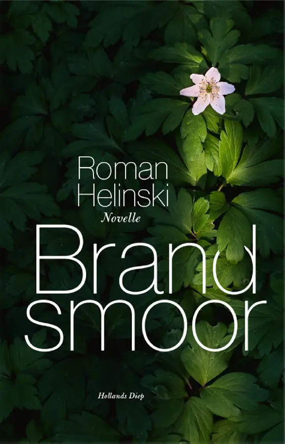 Brandsmoor