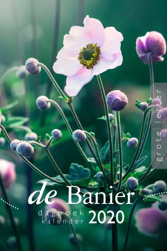 Banier 2020 groot dagboekkalender