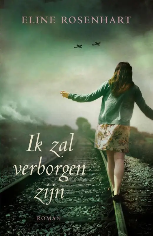 Ik zal verborgen zijn (e-book)