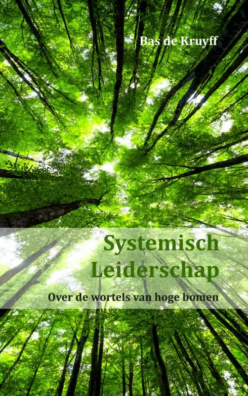 Systemisch leiderschap