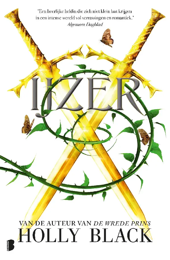 IJzer
