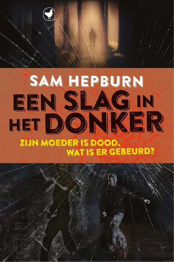 Een slag in het donker