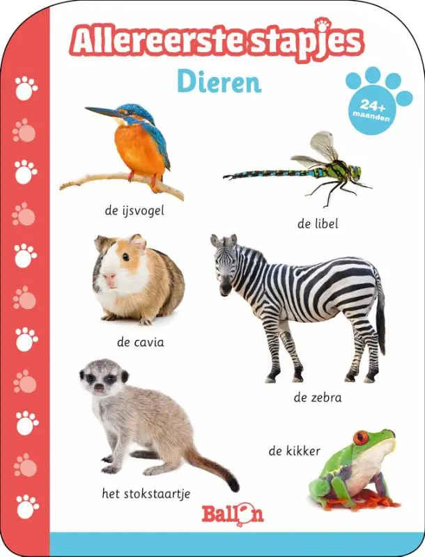 Dieren 24+