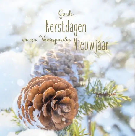 Kerstbox Goede K/VN