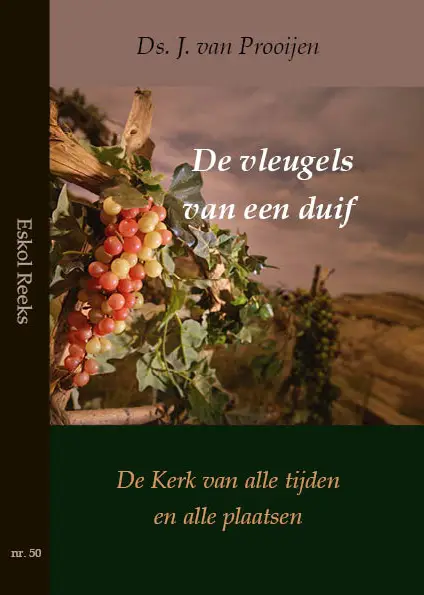 Vleugels van een duif