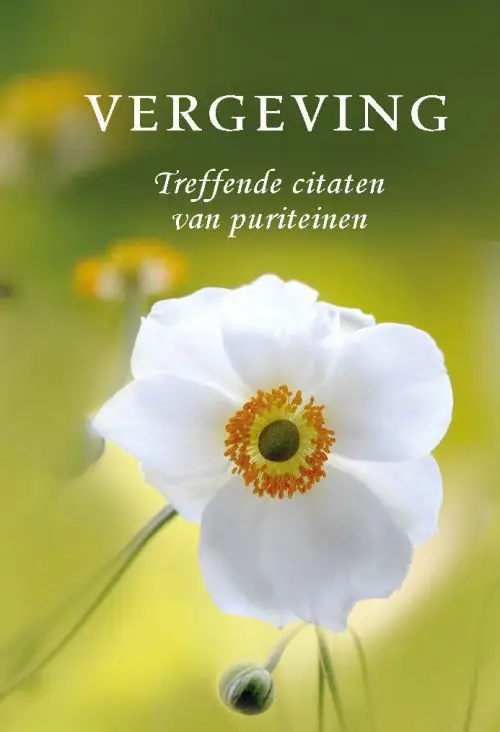 Pareltje vergeving