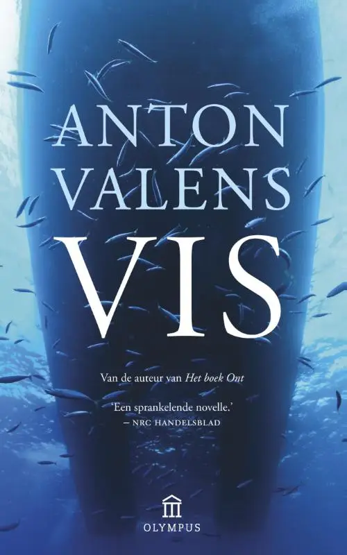 Vis
