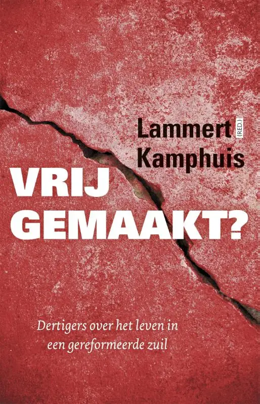 Vrijgemaakt? (e-book)