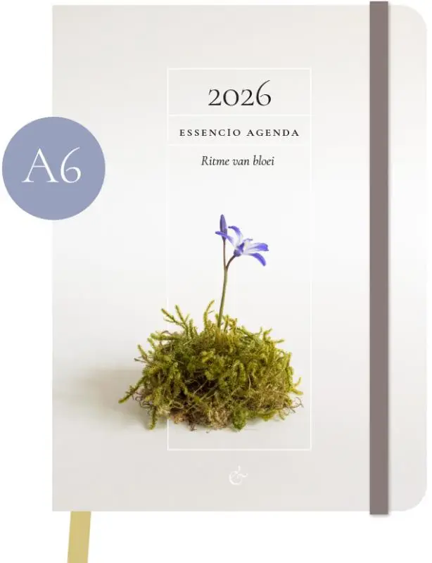 Essencio Agenda 2026 klein a6