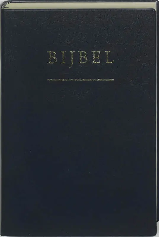 Huisbijbel 1318 nv blauw
