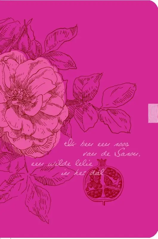 Bijbel NBV roze limited ed klein