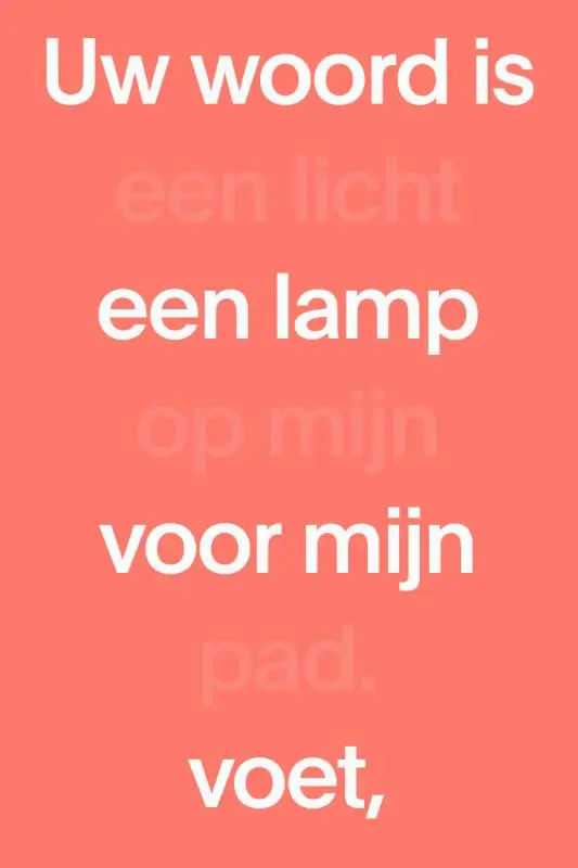 NBV21 midsize paperback